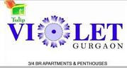 3 4 Bhk apartments Tulip Violet in Sector 69 Gurgaon >>> 9356667007