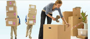 Comfortable and Easy Relocation in Gurgaon