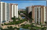 3, 4 5 BHK apartments at Pioneer Araya Gurgaon