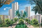 3 BHK Apartment in Diplomatic Greens Gurgaon