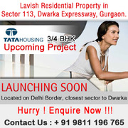 Tata Housing Sector 113 Gurgaon +91 9811 196 765 Real Estate Gurgaon