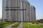 For sale Flats| Apartment in gurgaon Call:+91-9811332277
