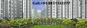 DLF New Town Heights Gurgaon Call 919811332277