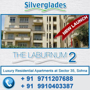 silverglades sohna project @ 9910403387