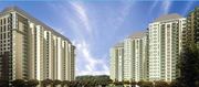 DLF Park Place ready to move apartment at sector 54,  golf course road 