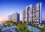  sare new launch sector 92 Floor Plans Call @ 09999536147 In sector 92