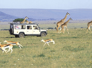 24/7/365 Kenya Tanzania camping safari tour 2015