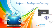 Offer Customize Software Development Services