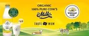 Fresh Cow Milk Supplier – WhollyCow