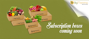 Subscription Boxes Online