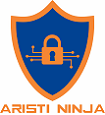 Aristi Ninja – IT Risk Assessment Service,  IT Risk Assessment Service 