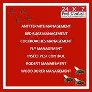 Professional Pest Control Services Delhi