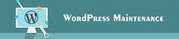 WordPress Maintenance Services | Wordpress Support Services