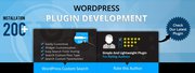 Custom Wordpress Web Development Company India | Wordpress website dev
