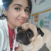 Best Pet Clinic in Gurgaon