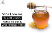 Stop Looking For Best Organic Honey To Buy & Visit Healthy Honey