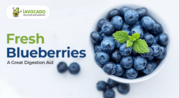 Buy Fresh Blueberries from iAvocado Fresh Fruit Range - Indian and Imp