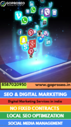 Digital Marketing Services in India | Goproseo 