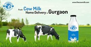 Organic Cow Milk in Gurgaon | Delhi