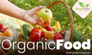 Organic Vegetables in Delhi | Gurgaon