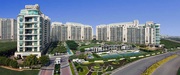 DLF Crest Apartment on Golf Course Road on Rent