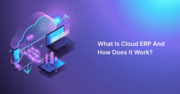 What Is Cloud ERP And How It Works
