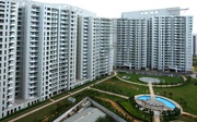 DLF The Icon in Gurgaon for Rent | DLF The Icon Service Apartments