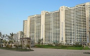 Service Apartments | DLF Magnolias Service Apartments in Gurgaon