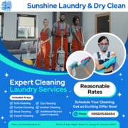 Best Dry Cleaners and Laundry Services