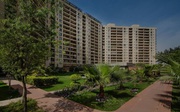 Explore Central Park 1 | Central Park 1 Apartments for Sale in Gurgaon