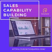 Sales Capability Building: Empowering Teams for Success