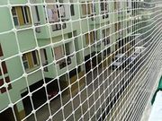 Pigeon safety net service provider in gurgaon