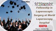 Fellowship in Laparoscopic Surgery