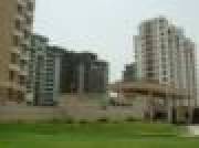 3 Bedroom Flat For Rent VIPUL BELMONT Golf Course Road Gurgaon